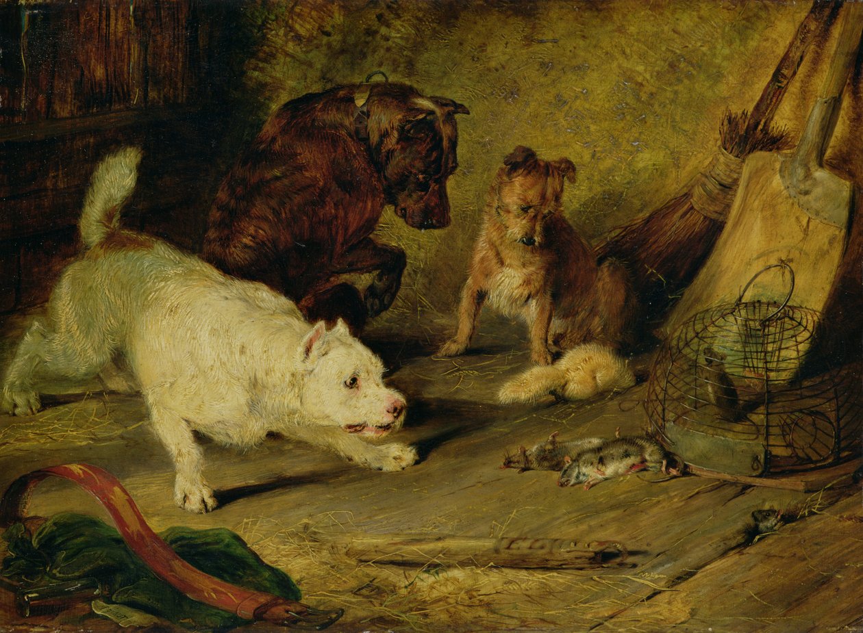 Krysaři od Edwin Landseer