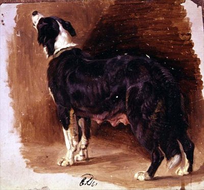 Náčrt kolie od Edwin Landseer