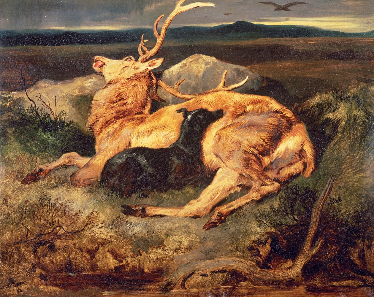 Jelen od Edwin Landseer