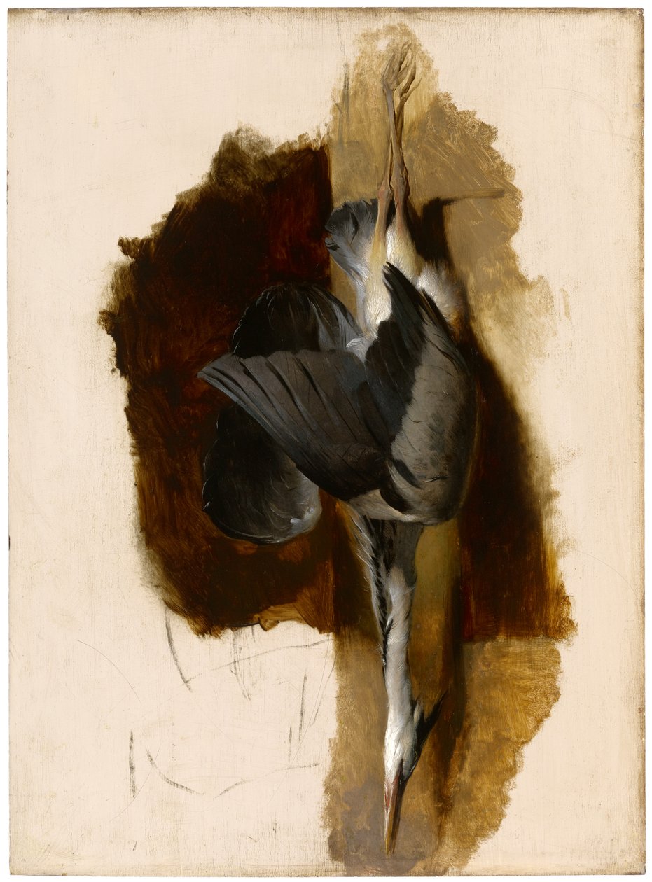 Studie mrtvé volavky, c.1832-33 od Edwin Landseer