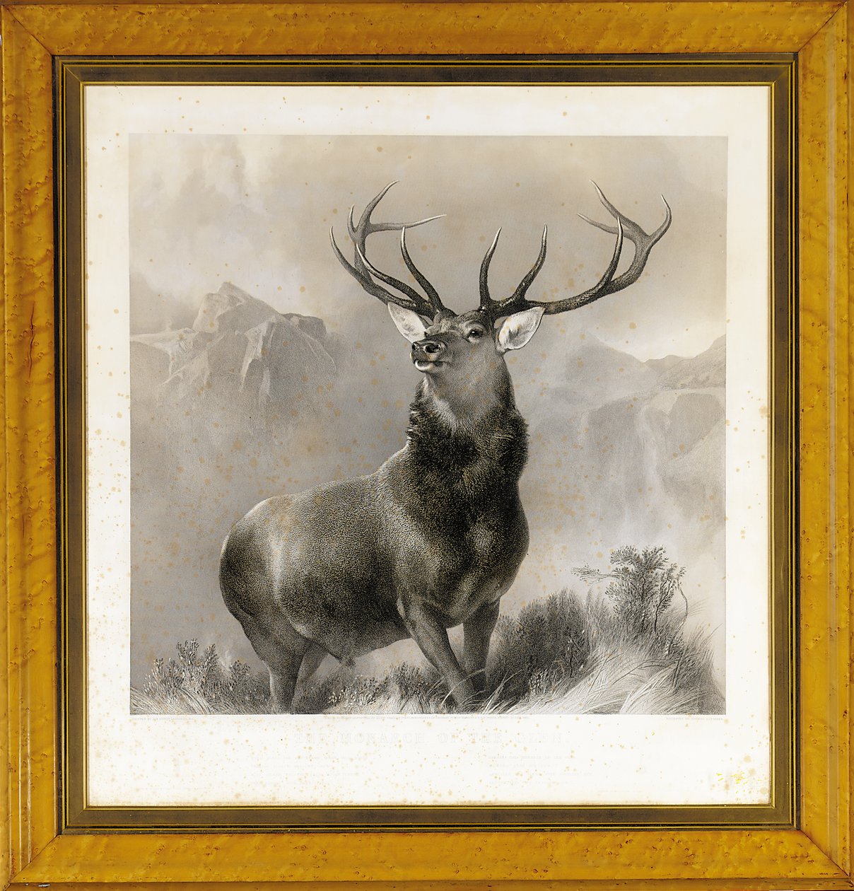 The Monarch of the Glen, 1852 od Edwin Landseer