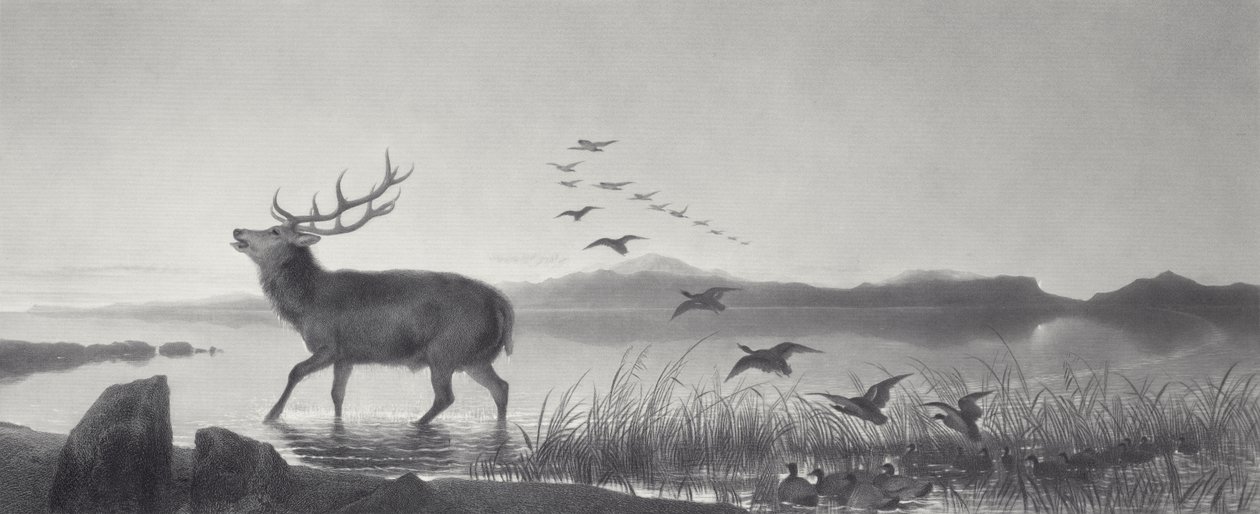 Záchrana od Edwin Landseer