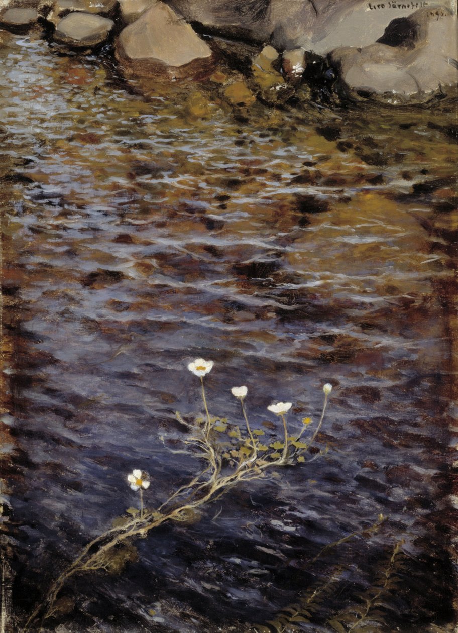 Rybník Water Crowfoot od Eero Järnefelt