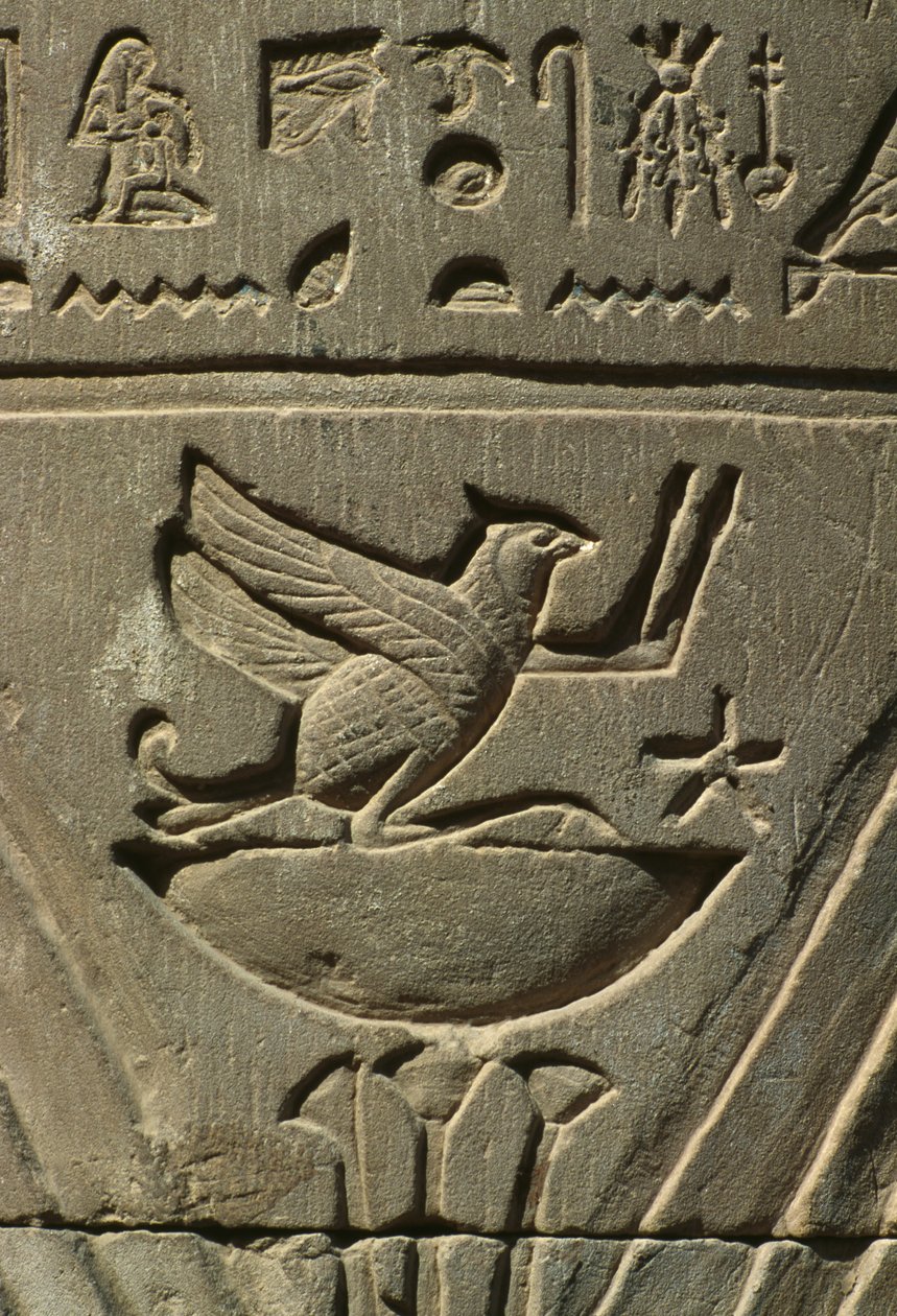 Detail reliéfu, hieroglyfy vápence od Egyptian