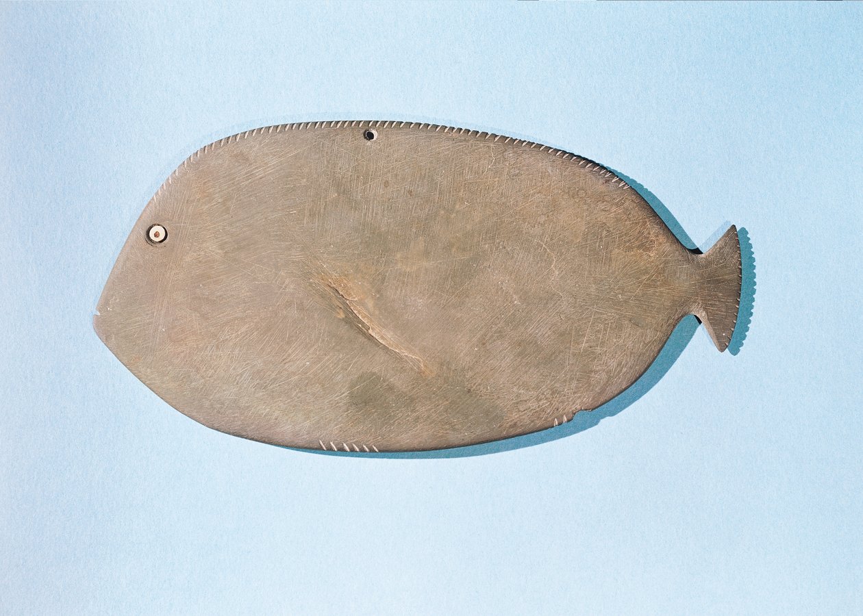Paleta ve tvaru ryby, předdynastické období (5000-3100 př. n. l.) (břidlice) od Egyptian