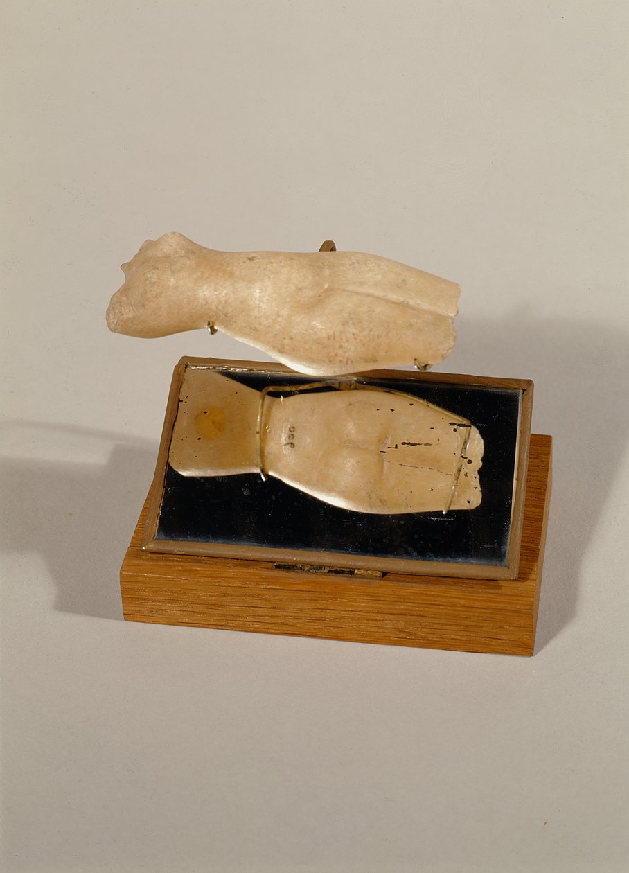 Torzo ženy, Nová říše (alabastr) od Egyptian 18th Dynasty