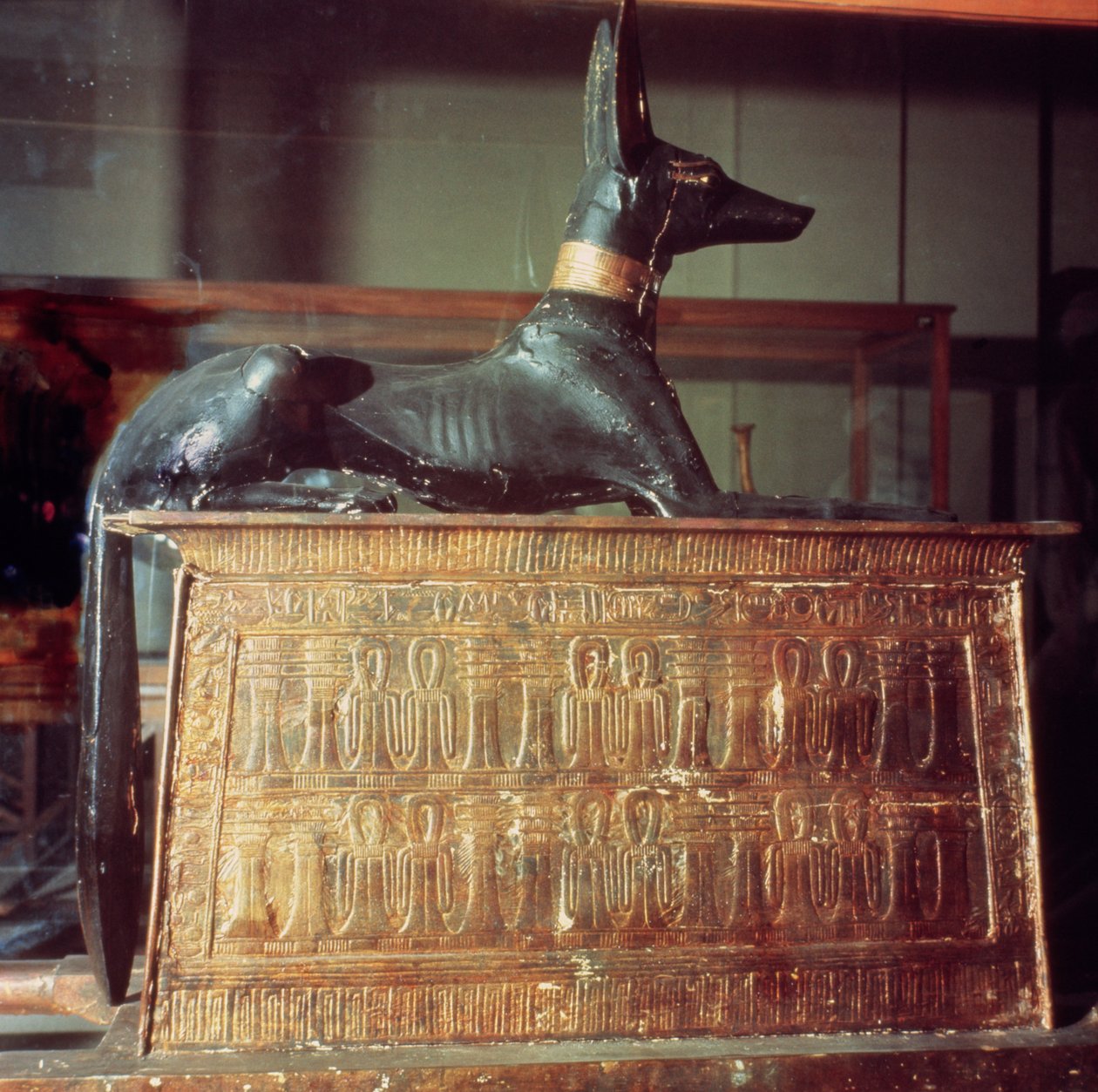 Anubis, egyptský bůh mrtvých, sedící na truhle v podobě svatyně, z hrobky Tutanchamona (asi 1370-52 př.nl) Nová říše (dřevo) (viz také 149424) od Egyptian 18th Dynasty