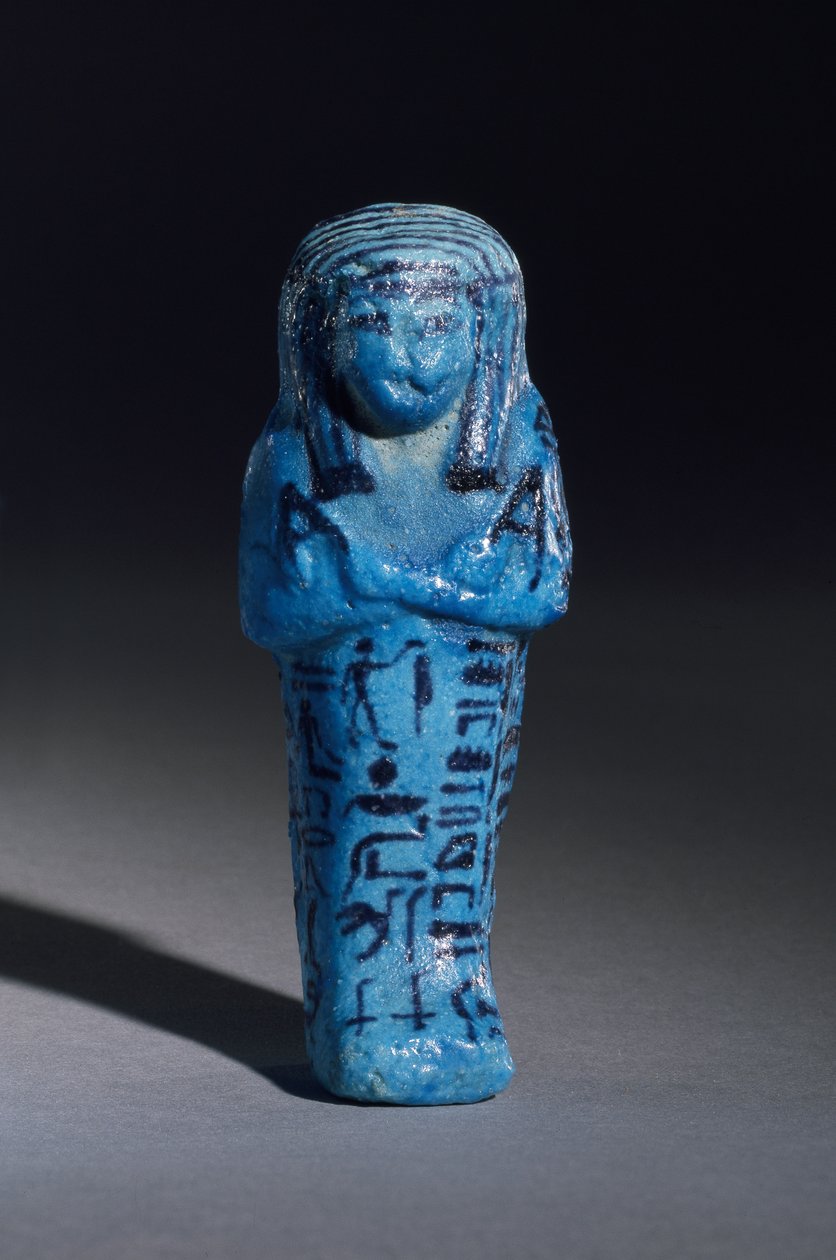 Figurka s nápisem pro kněze Amona, Amenemope a Shawabti z hrobky 148, Théby, Nová říše, kolem 1193-1080 př. n. l. detail glazované fajánsové kameniny z roku 110408 od Egyptian 20th Dynasty