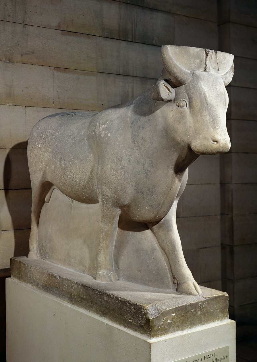 Apis Bull, ze Serapeum, Memphis (vápenec) od Egyptian 30th Dynasty