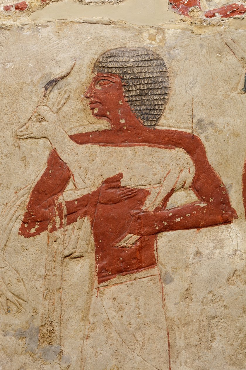 Mastaba Tomb of Perneb, c.2381–2323 BC (vápenec a barva) od Egyptian 5th Dynasty