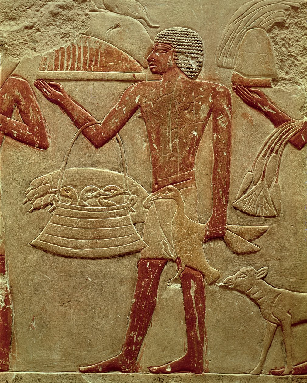 Reliéf zobrazující vrátného s košíkem mláďat, z Hrobky princezny Idut, Stará říše, cca 2330 př. n. l. (malovaný vápenec) od Egyptian 6th Dynasty