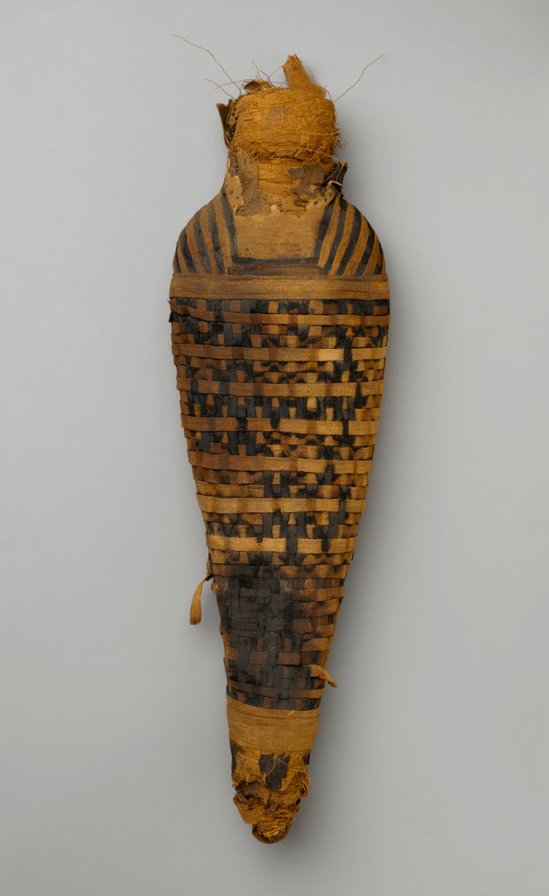 Mumie jestřába (ostatky zvířat a prádlo) od Egyptian