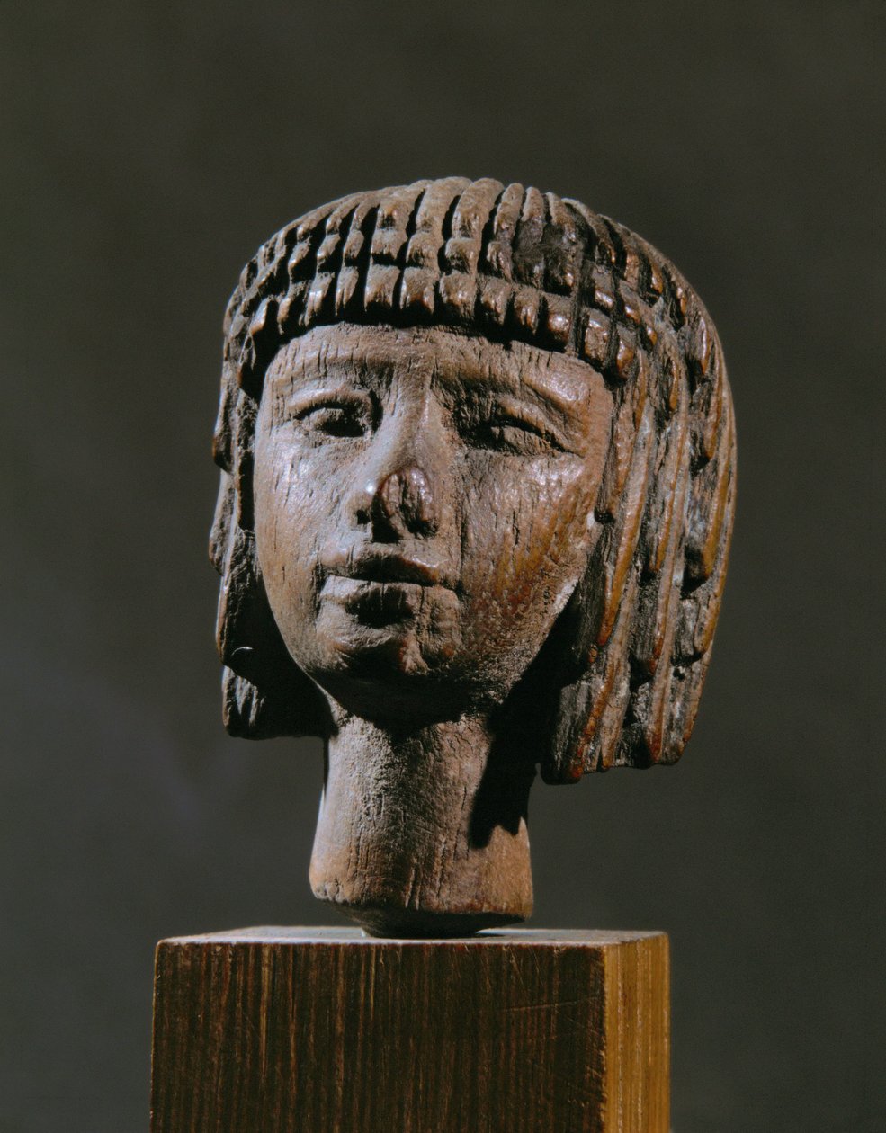 Hlava plavkyně od Egyptian 18th Dynasty