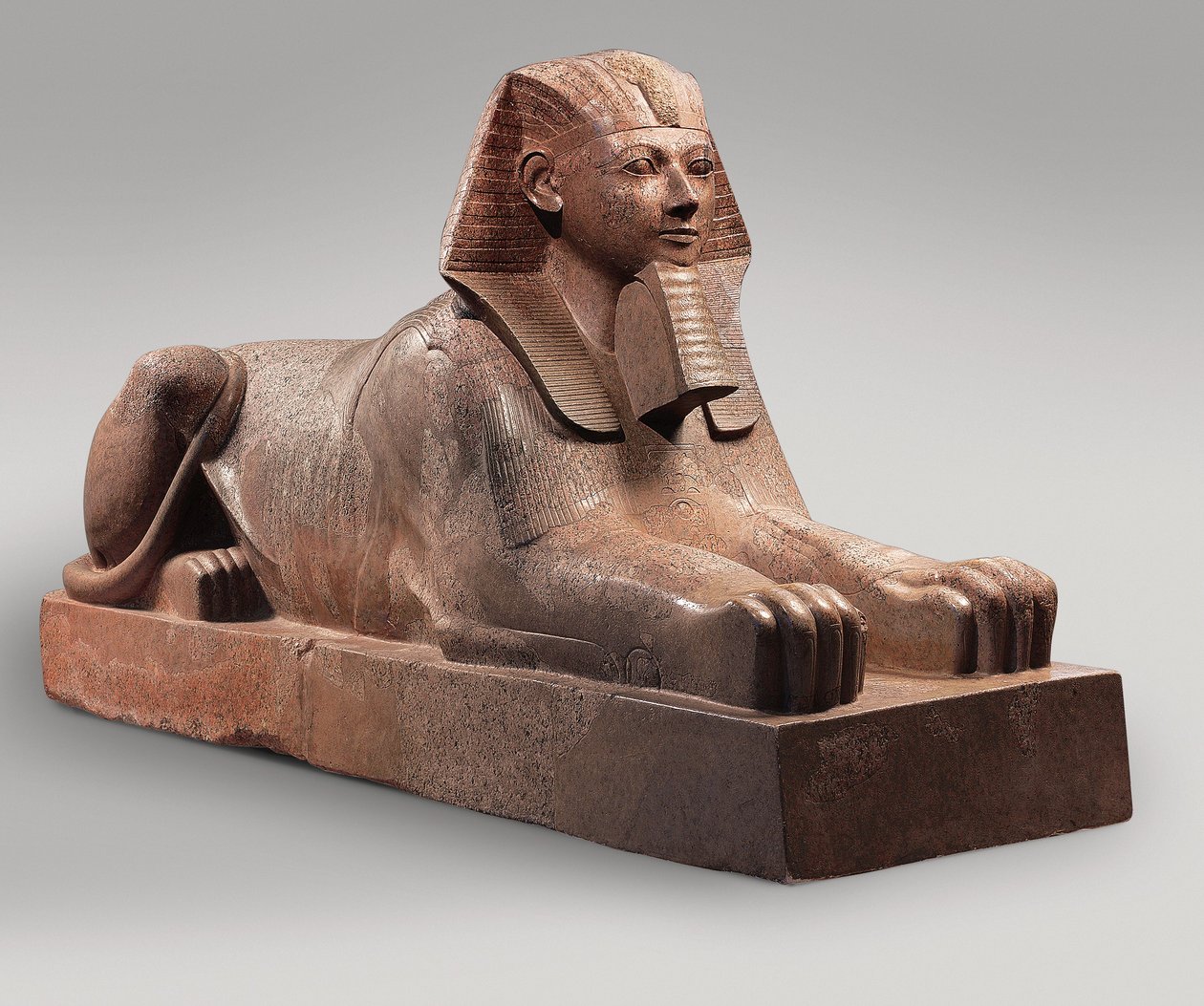 Sfinga Hatšepsut, kolem 1479-58 (žula, barva) od Egyptian 18th Dynasty
