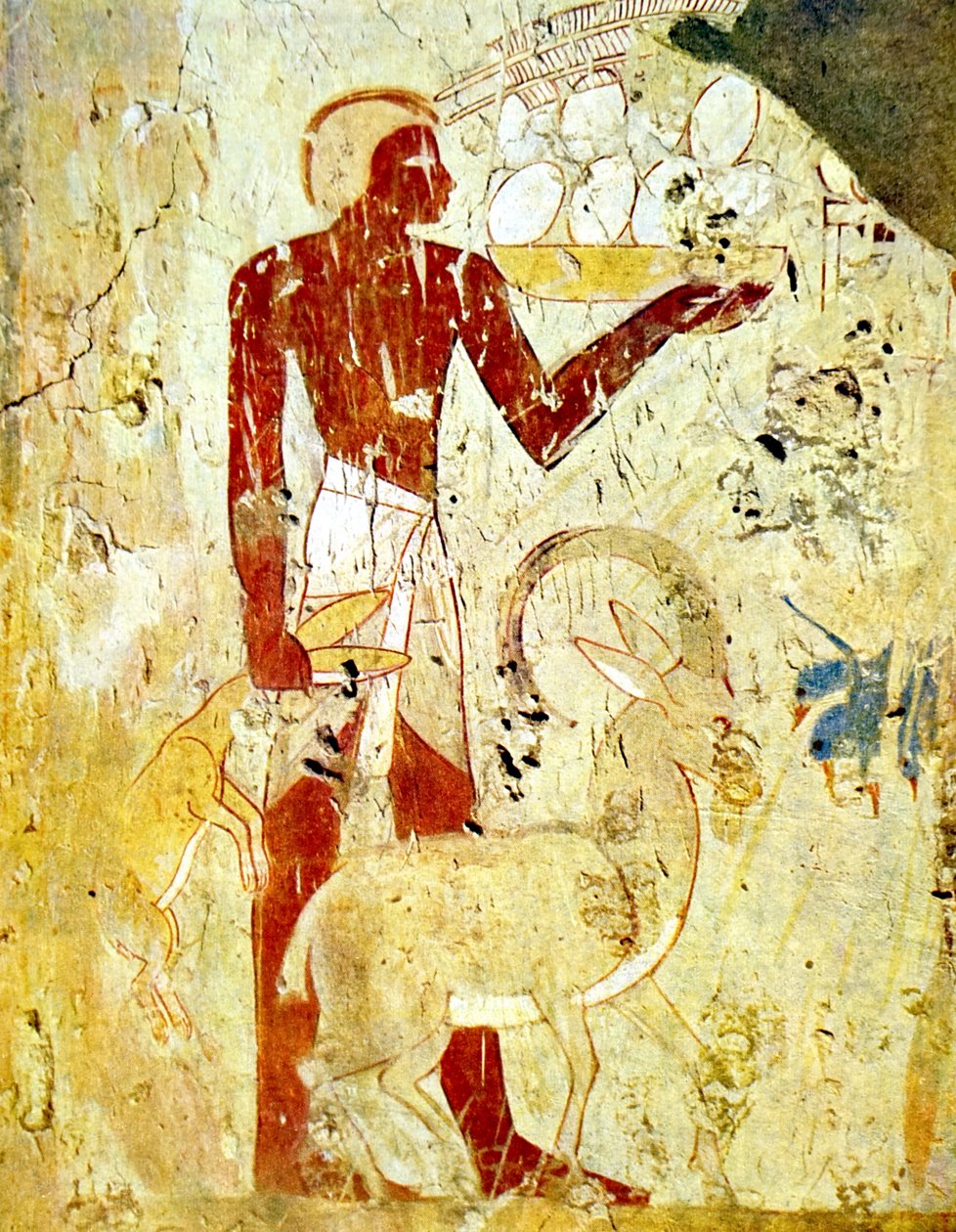 Nástěnná malba v egyptské hrobce zobrazující zvířecí oběti od Egyptian Egyptian