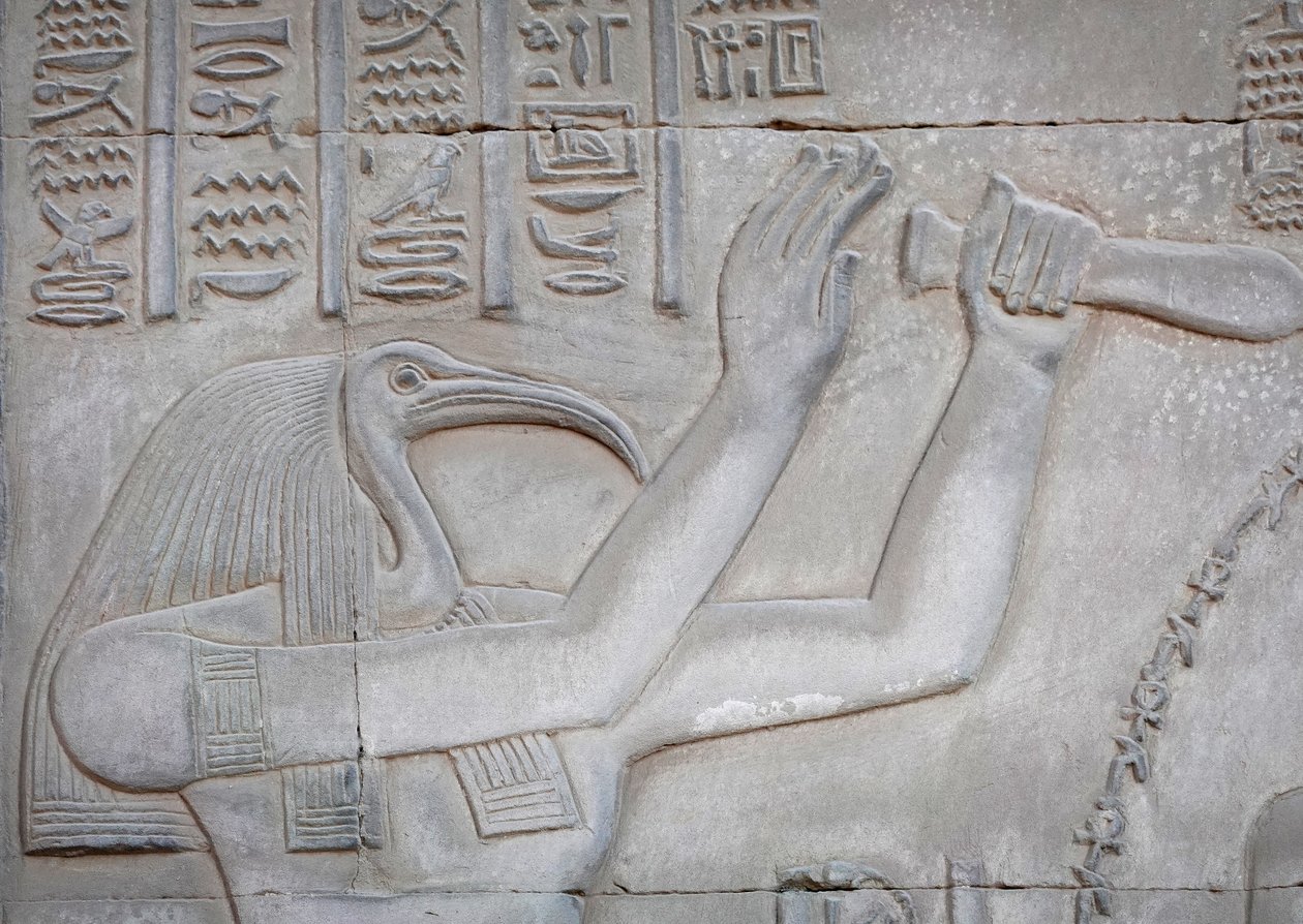 Thot, chrám Kom Ombo (reliéf) od Egyptian Egyptian