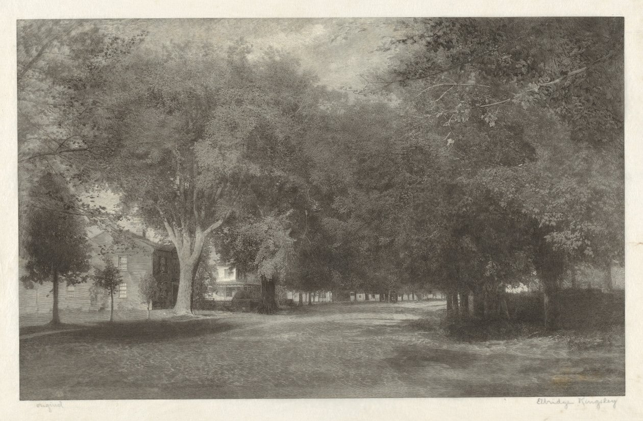 New England Elms od Elbridge Kingsley