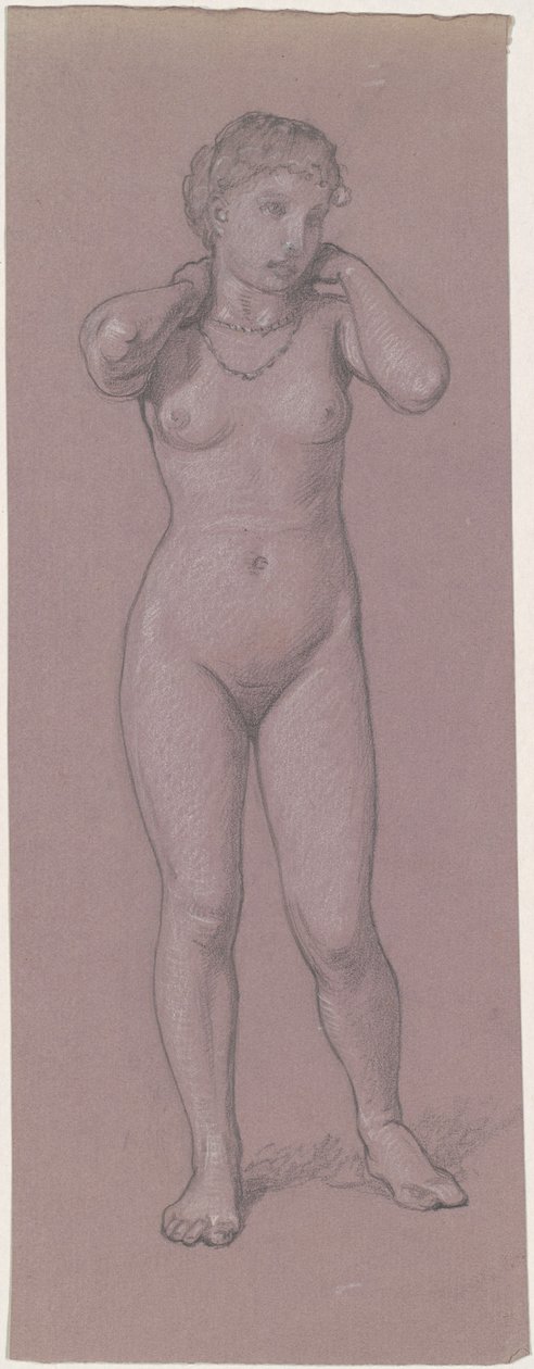 Ženský akt s náhrdelníkem, 1870-1880. od Elihu Vedder