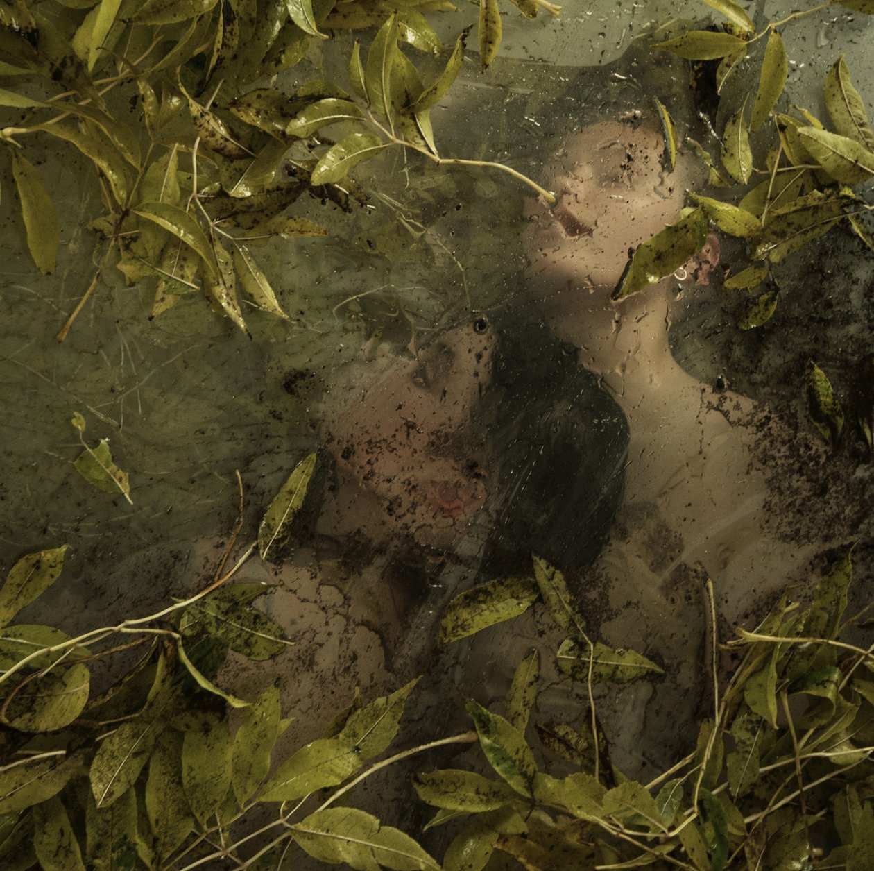 Hidden in paradise, 2015 (sítotisk) od Elinleticia Högabo