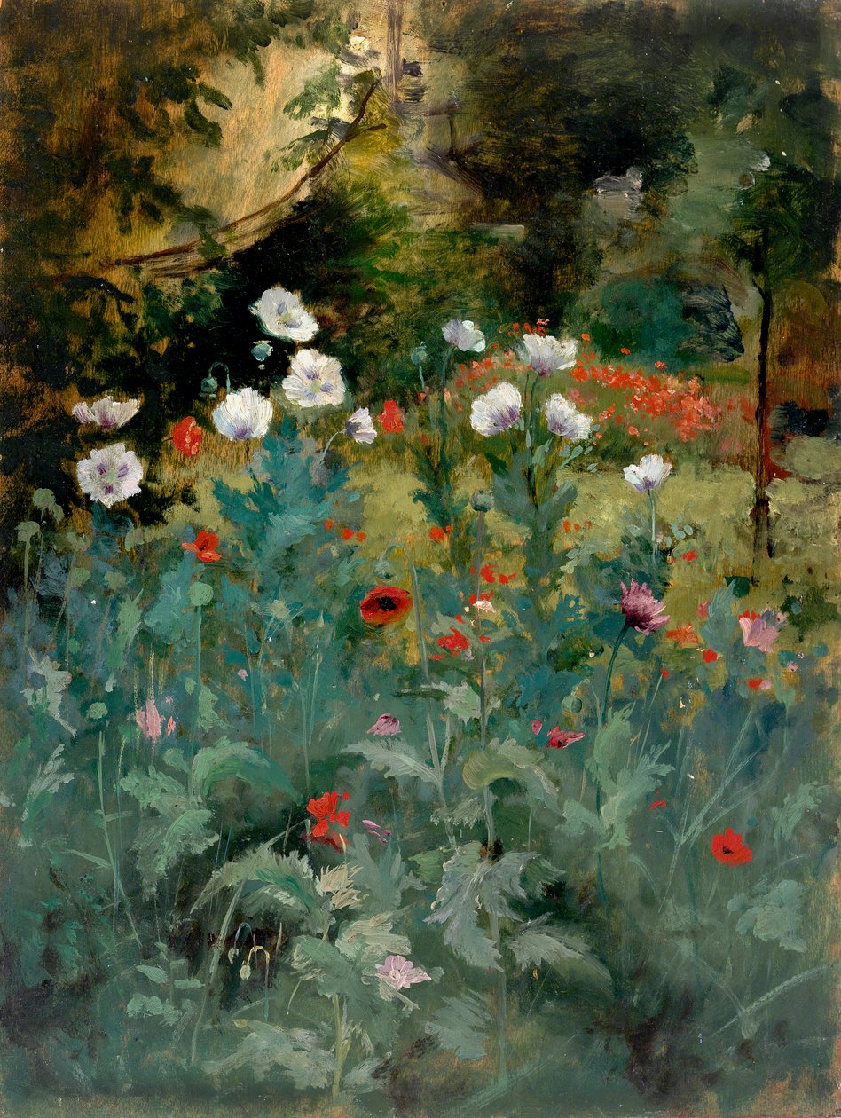 Vlčí máky, konec 19.-začátek 20. století. od Eliphalet Frazer Andrews