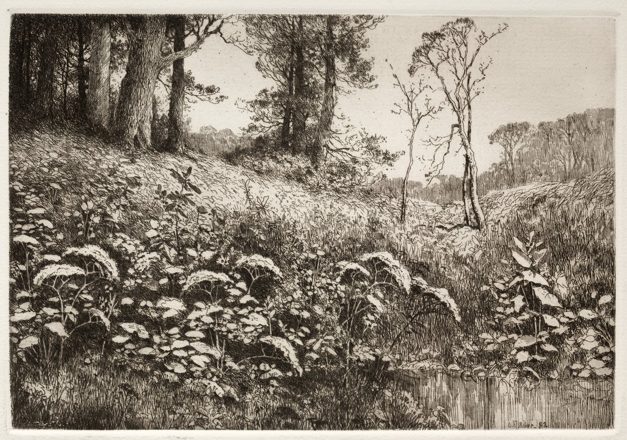 Letní odpoledne od Elis F. Miller