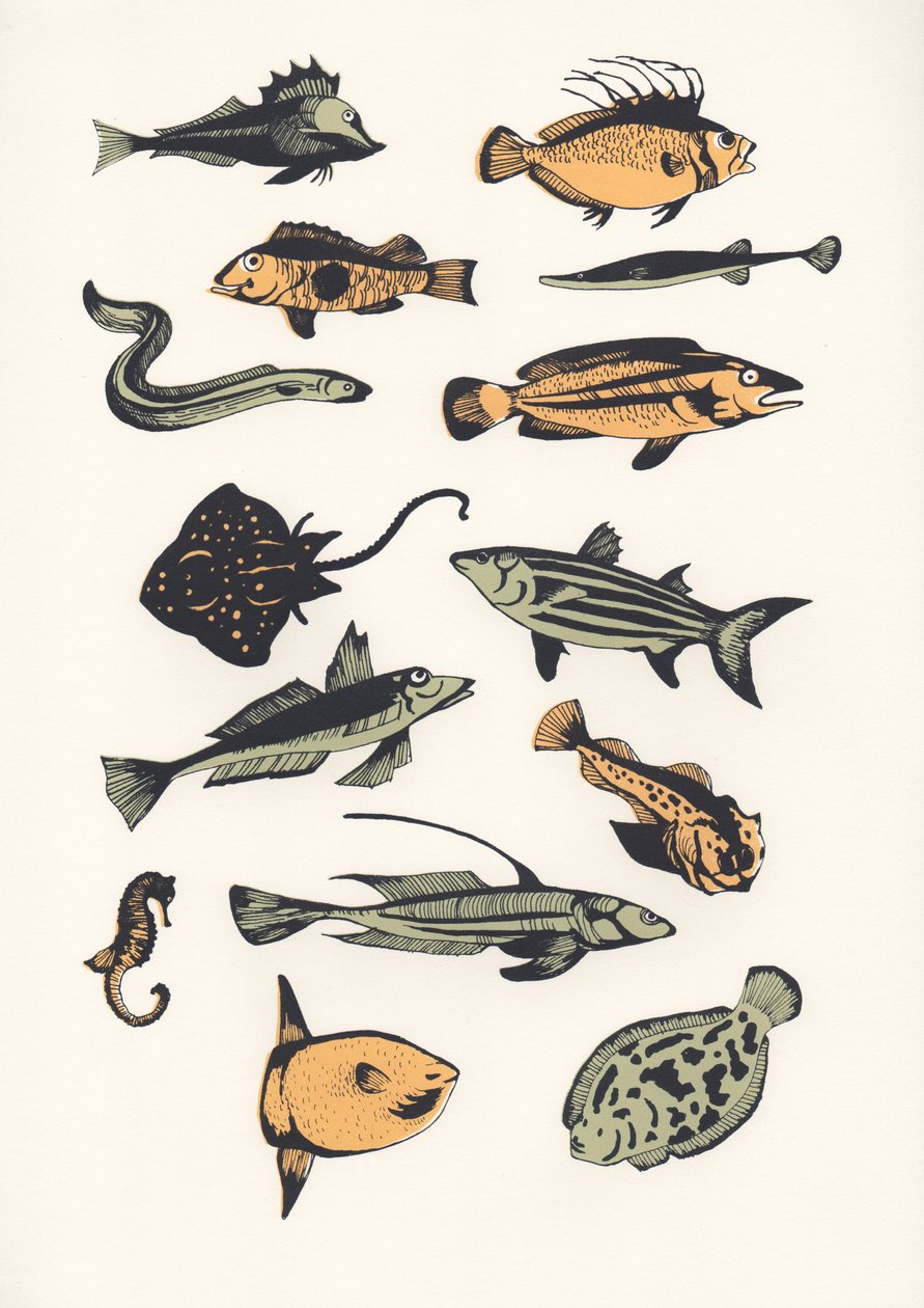 Plain Fish, 2015 (sítotisk) od Eliza Southwood