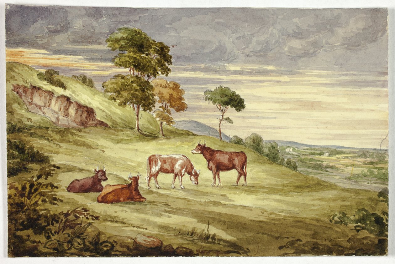 Deer Park, možná Kilkenny od Elizabeth Murray