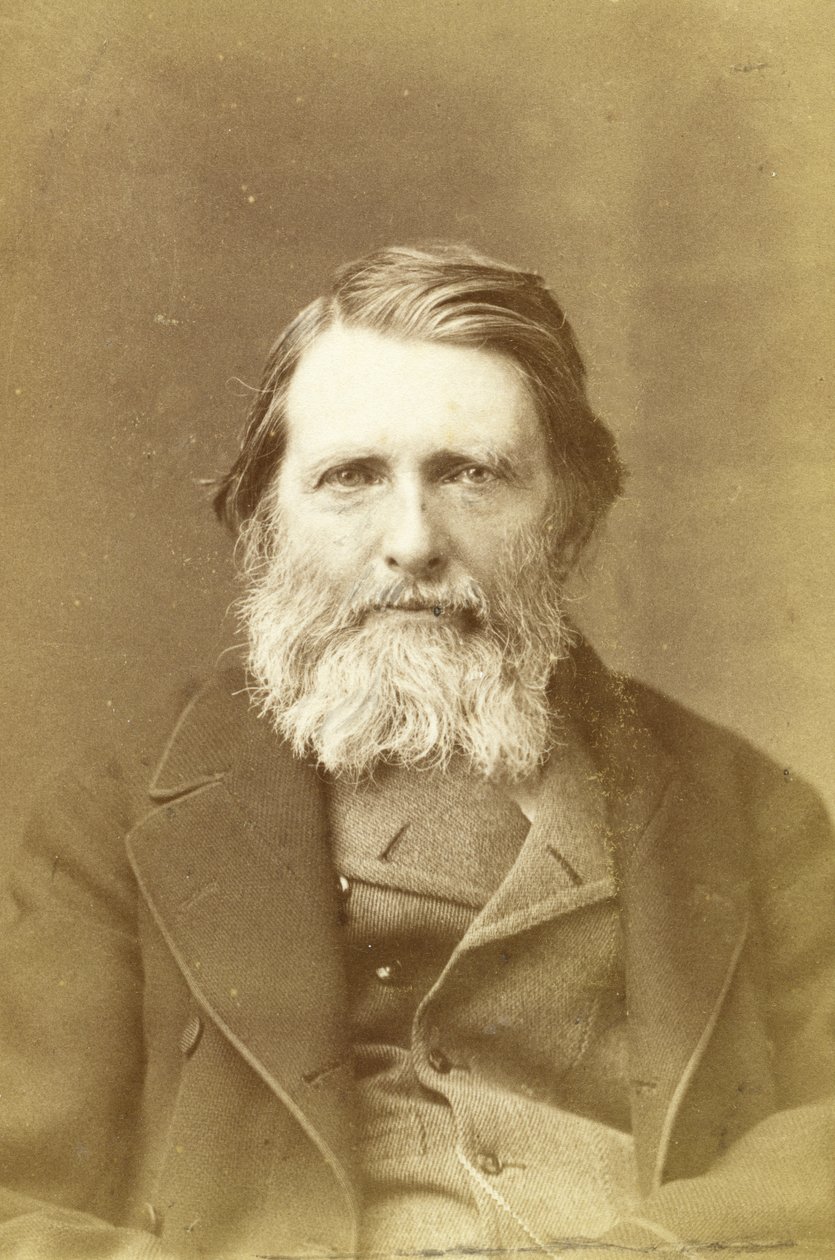 John Ruskin, 1882 (tisk alba) od Elliott und Fry Studio