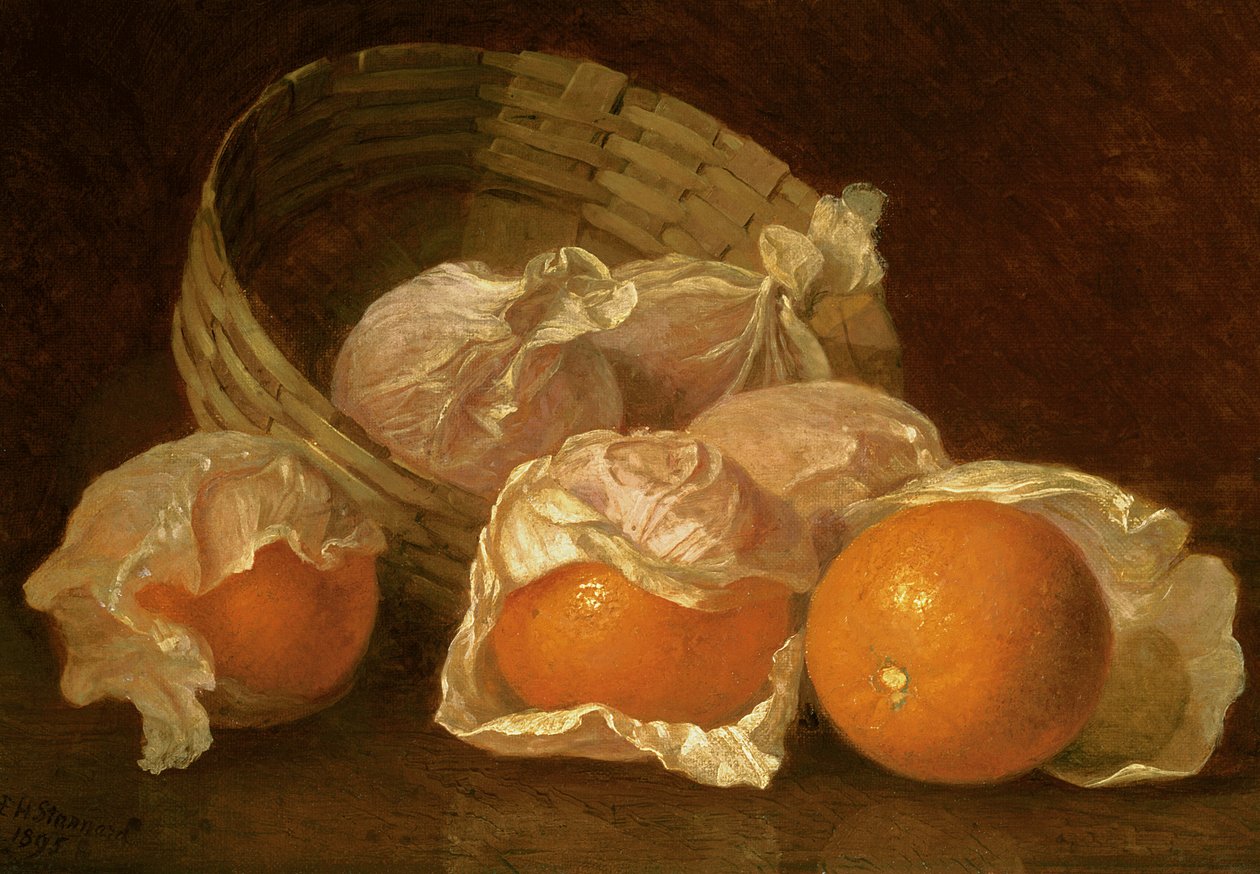Košík pomerančů, 1895 od Eloise Harriet Stannard