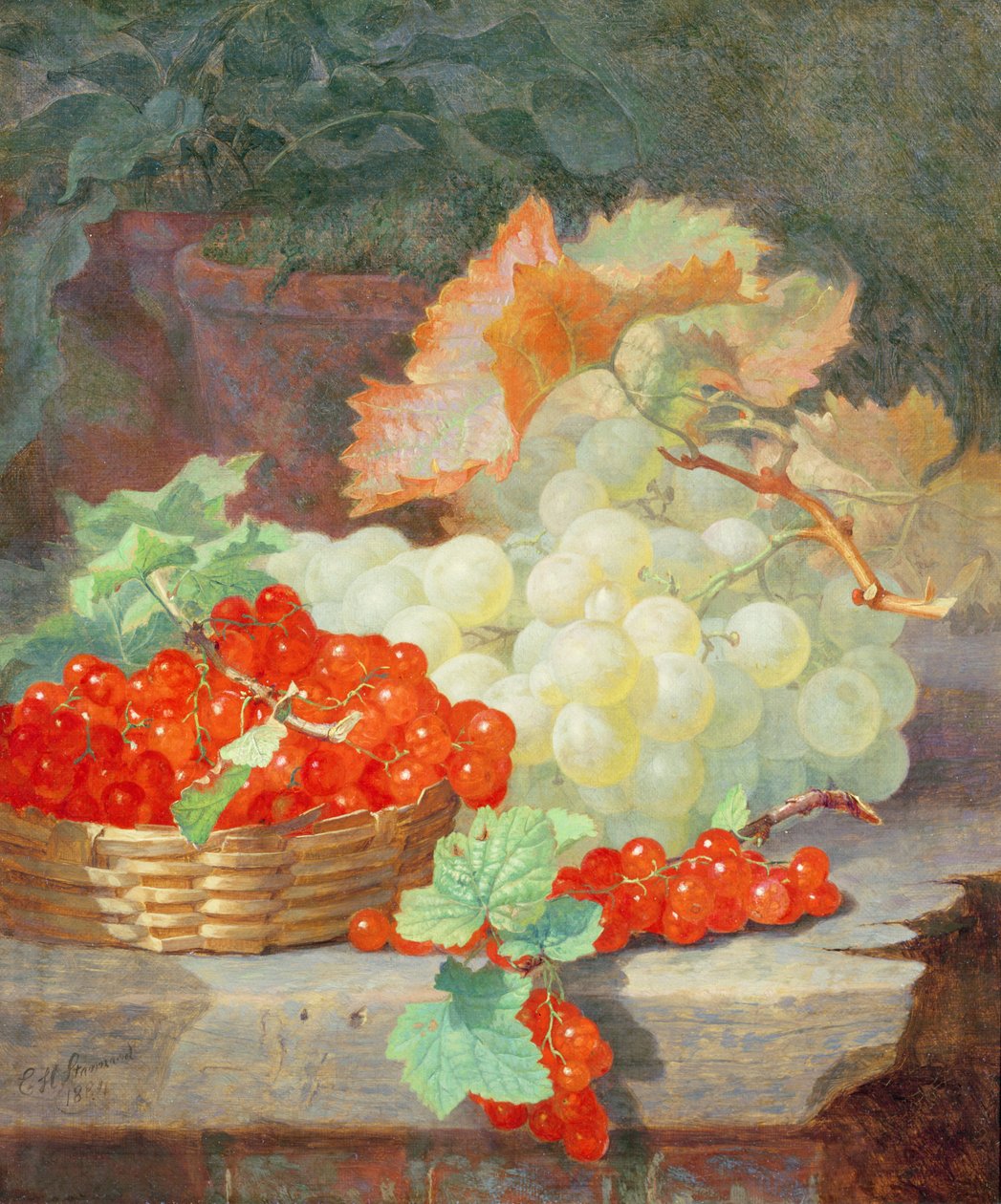 Červený rybíz a hrozny, 1864 od Eloise Harriet Stannard