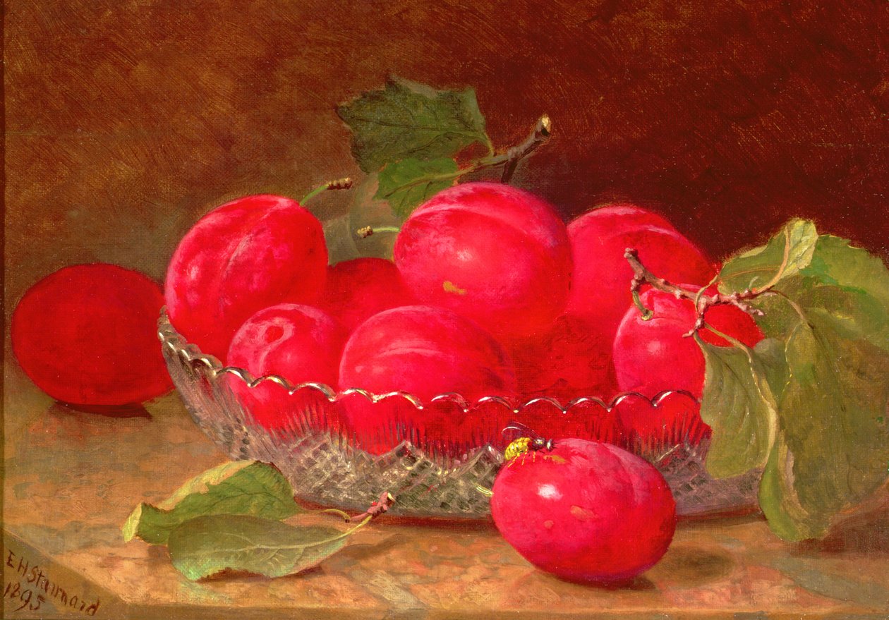 Zátiší, 1895 od Eloise Harriet Stannard
