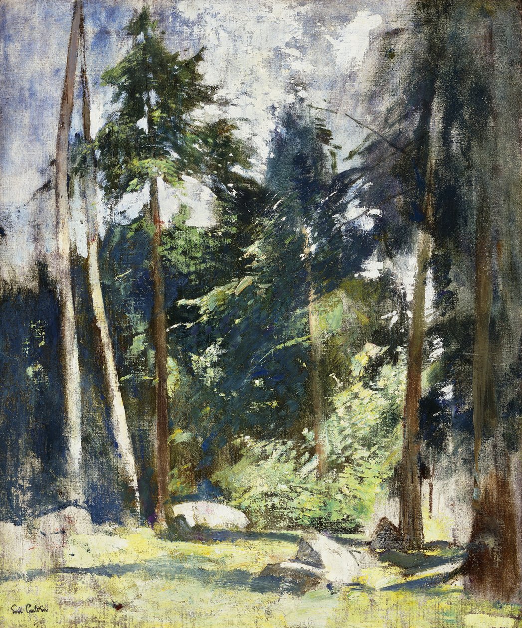 Vysoké borovice od Emil Carlsen