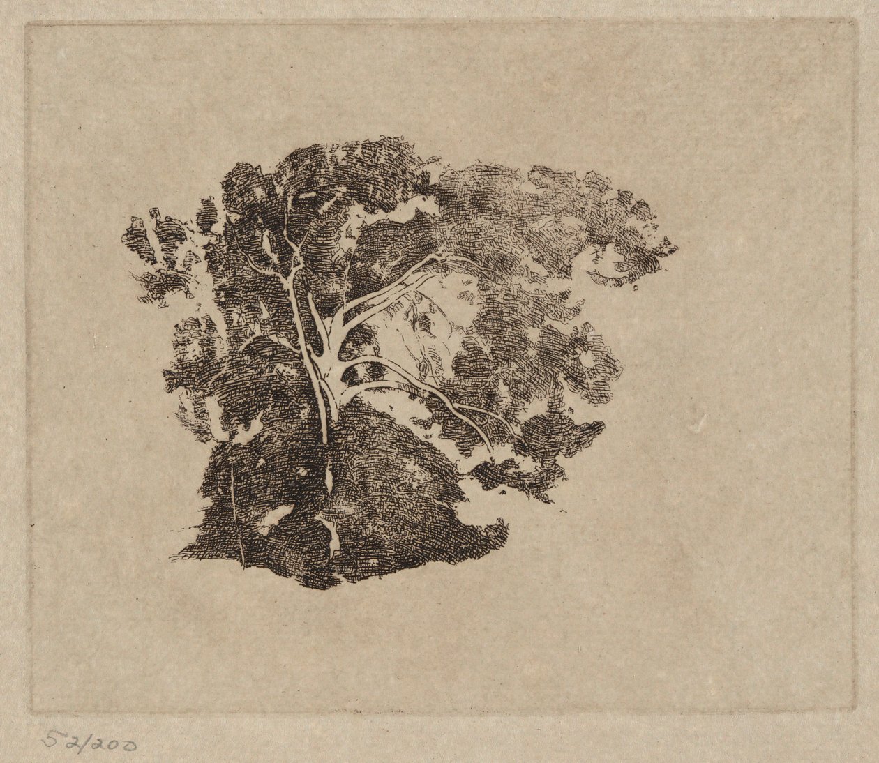 Stromová studie od Emil Carlsen