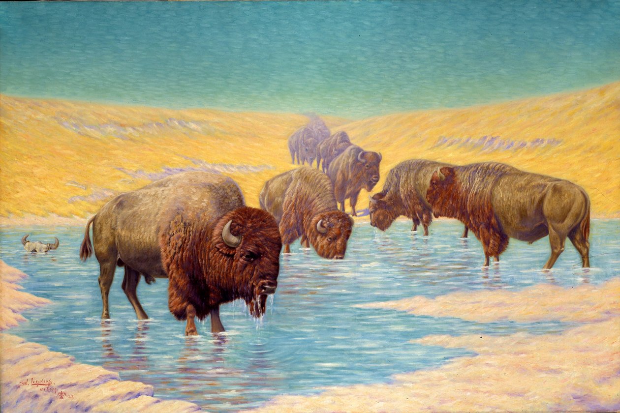 Buffalo Scene od Emil W. Lenders