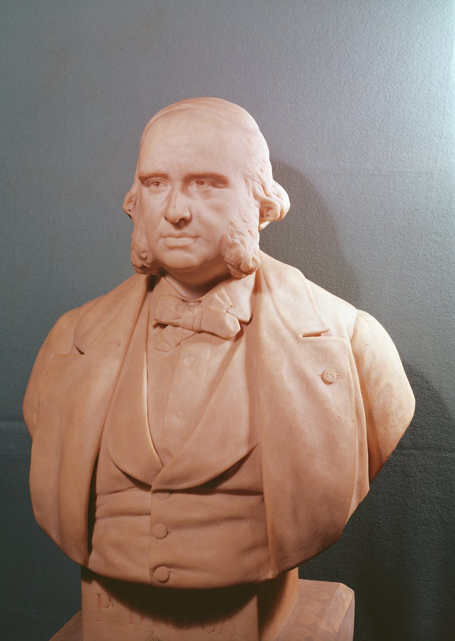 Busta Paula Brocy (1824-80) 1881 od Emile Arthur Soldi or Soldi Colbert