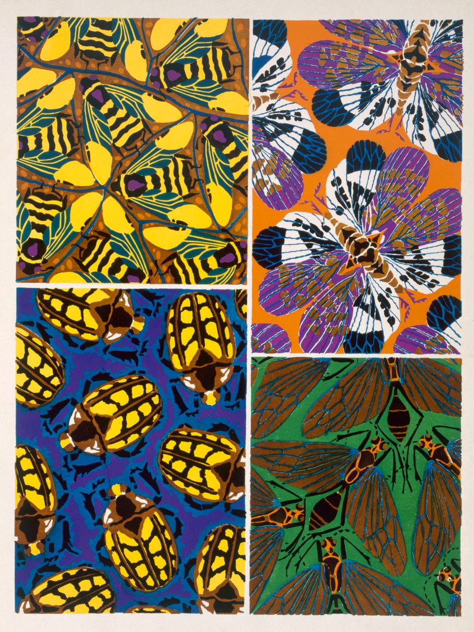 Design s motivem hmyzu od Émile Allain Séguy