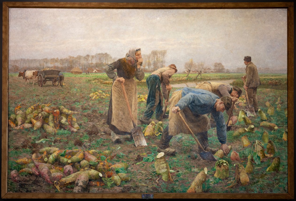 Sklizeň řepy od Emile Claus