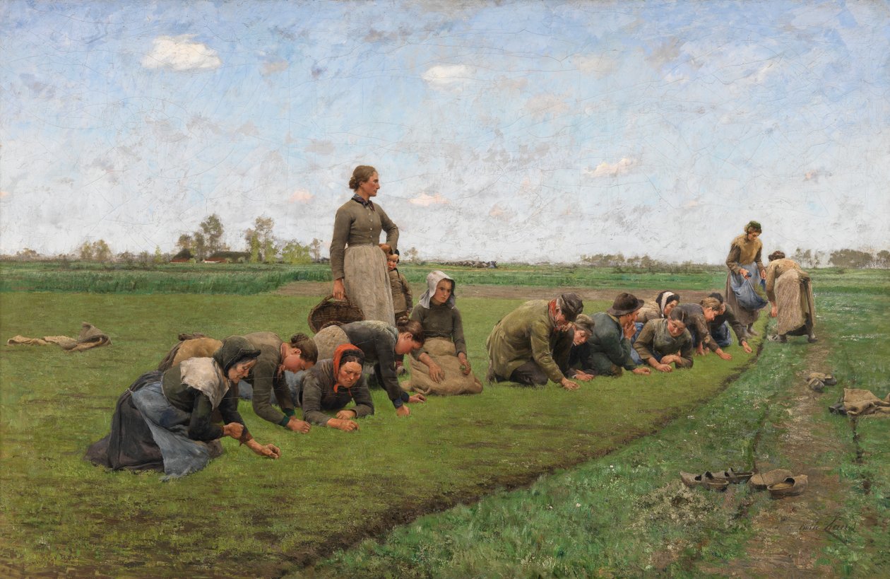 Pletí lnu ve Flandrech od Emile Claus