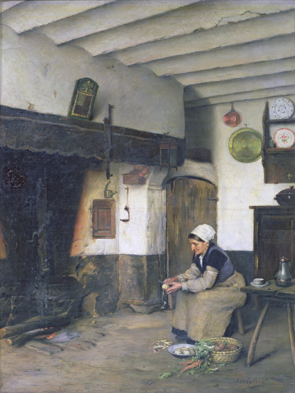 Dům Terezie, 1881 od Emile Salome