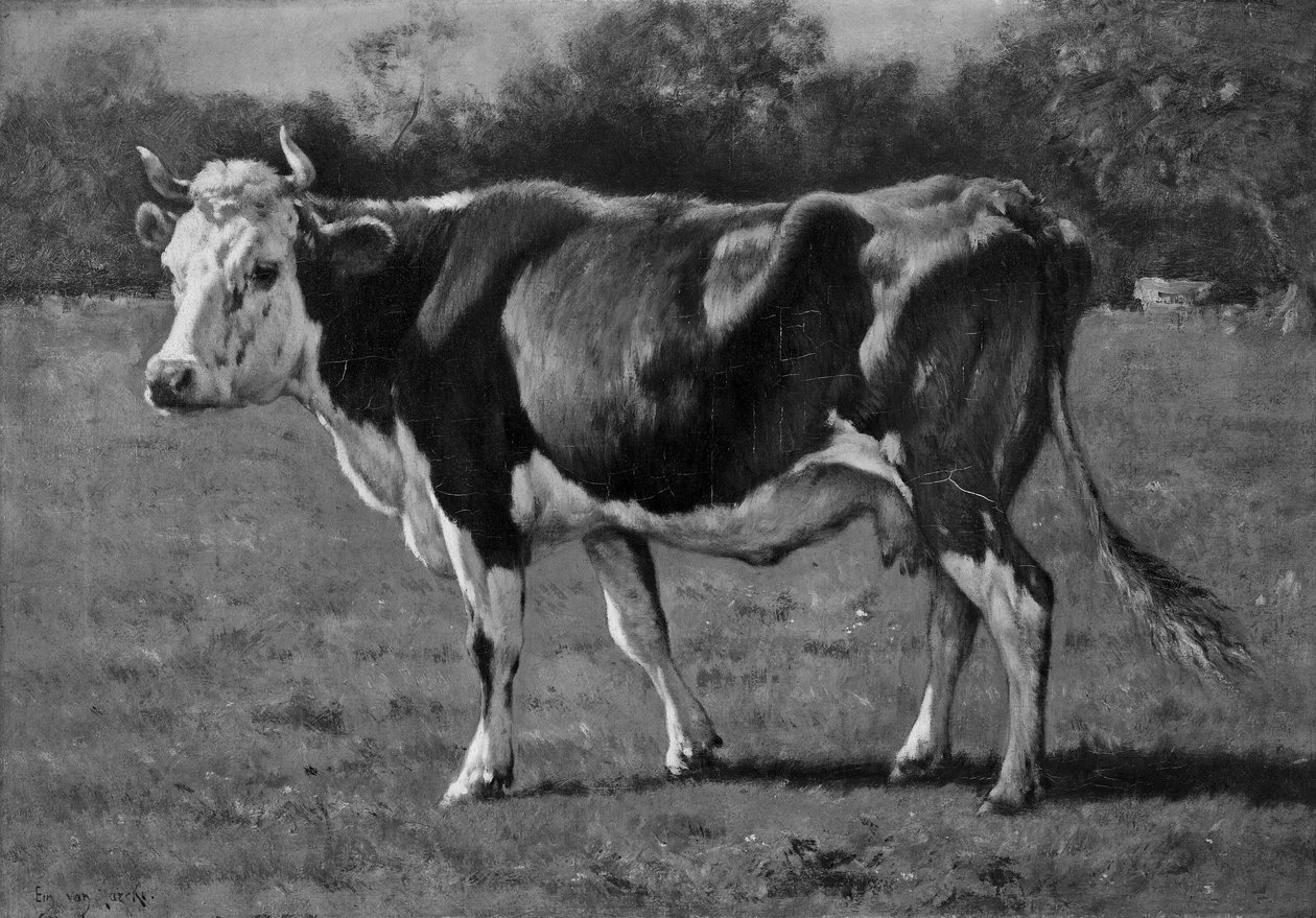 Studie krávy od Emile van Marcke de Lummen