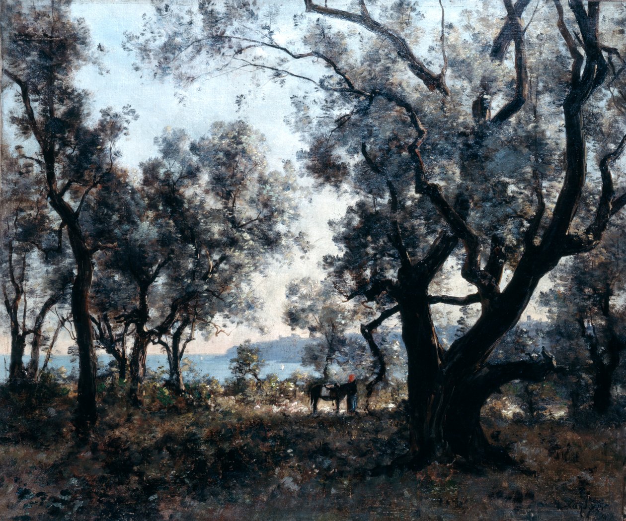 Olivovníky kolem Cap Martin, 1891. od Emmanuel Lansyer
