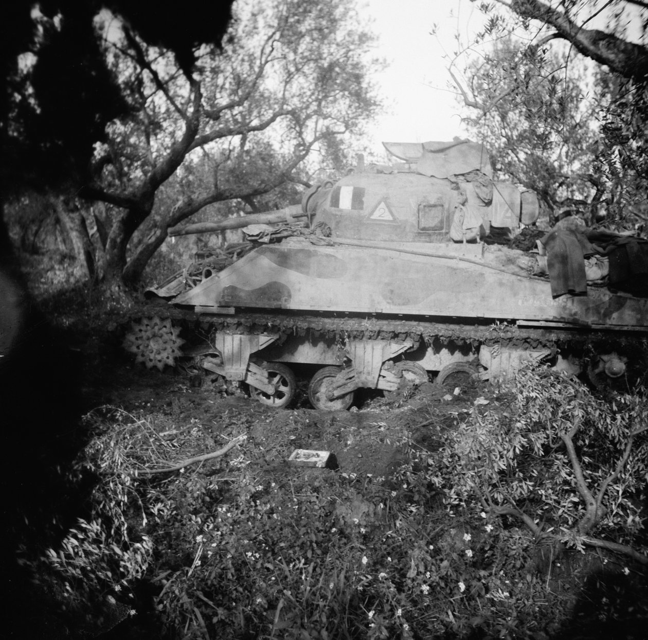 2Tp tank vyhozen na minové pole, kolem roku 1944 od English Photographer