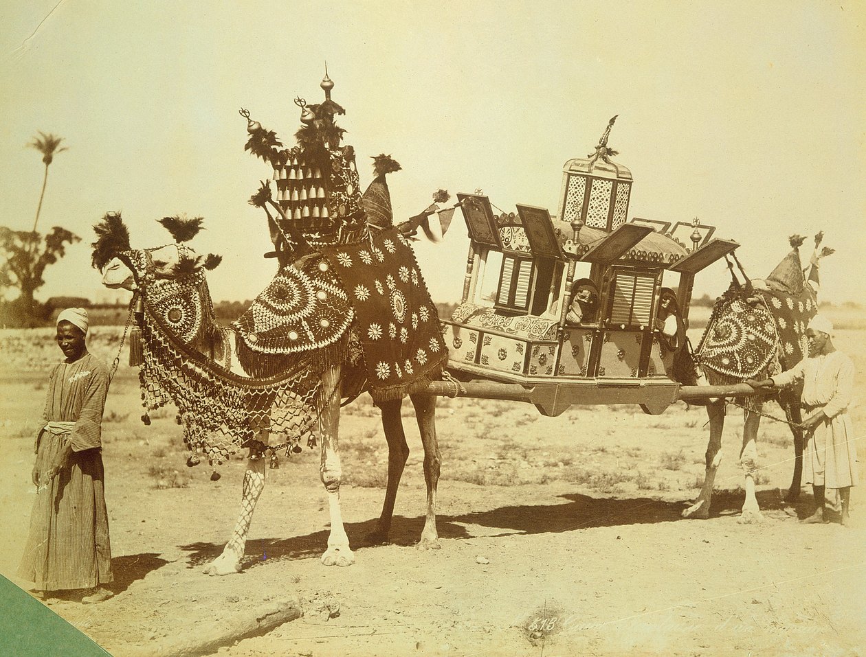 Svatební Palanquin, Káhira, Egypt, kolem roku 1878 od English Photographer