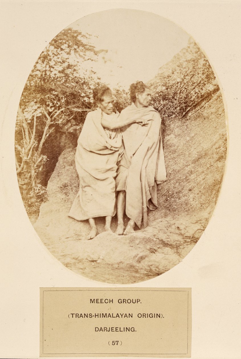 Meech Group (Trans-himalájský původ), Darjeeling, z The People of India, J. Forbes Watson, publikováno 1868 (tisk alba) od English Photographer
