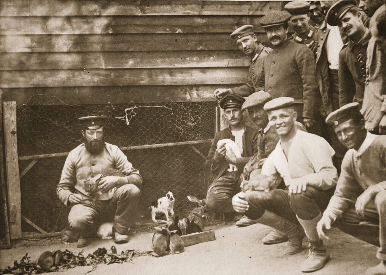 Some of the Prisoners Pets, Dorchester, ilustrace z německých vězňů ve Velké Británii (hlubotisk) od English Photographer