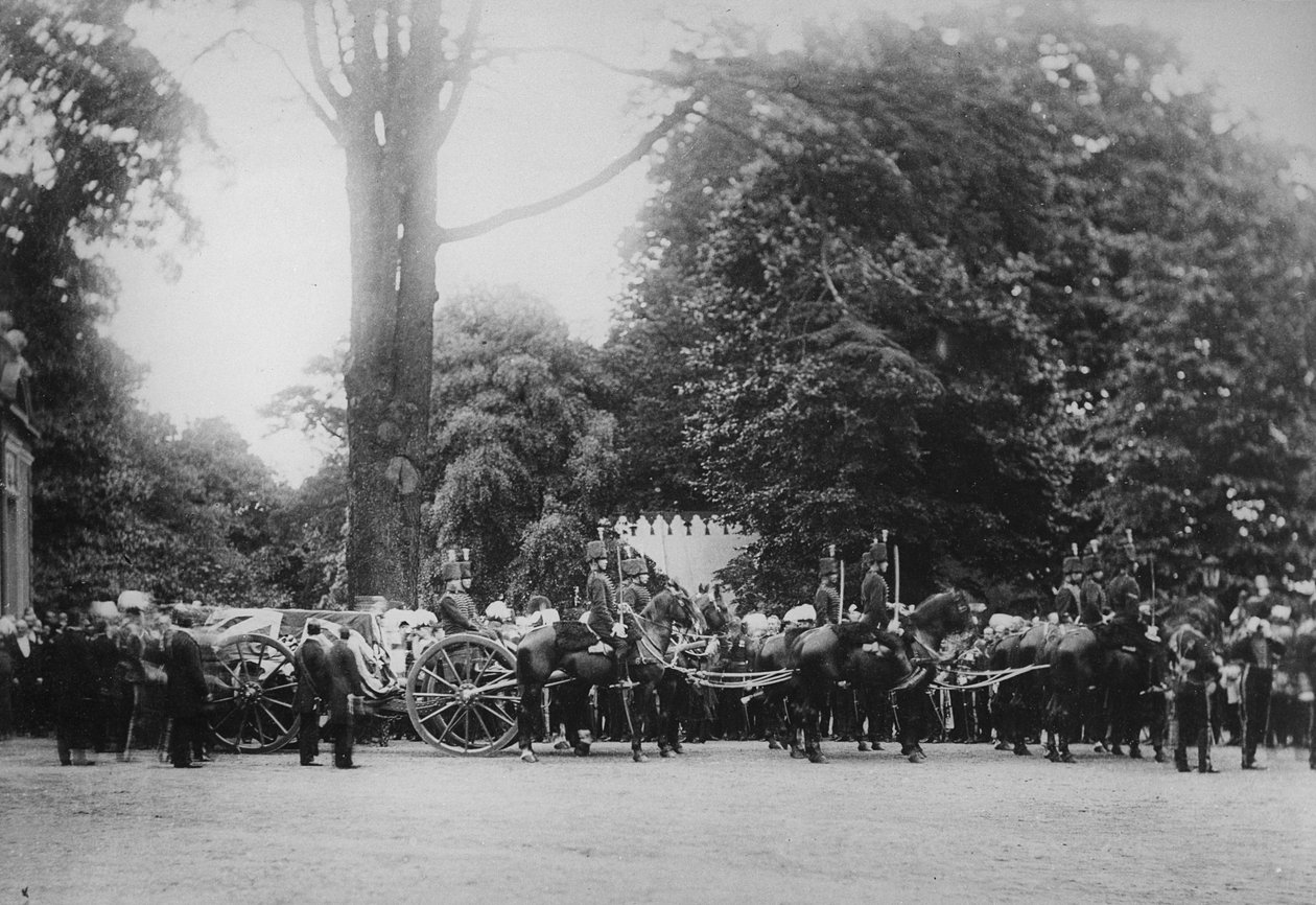 The Prince Imperials Funerial Cortege, Camden Place, 12. července 1879 od English Photographer