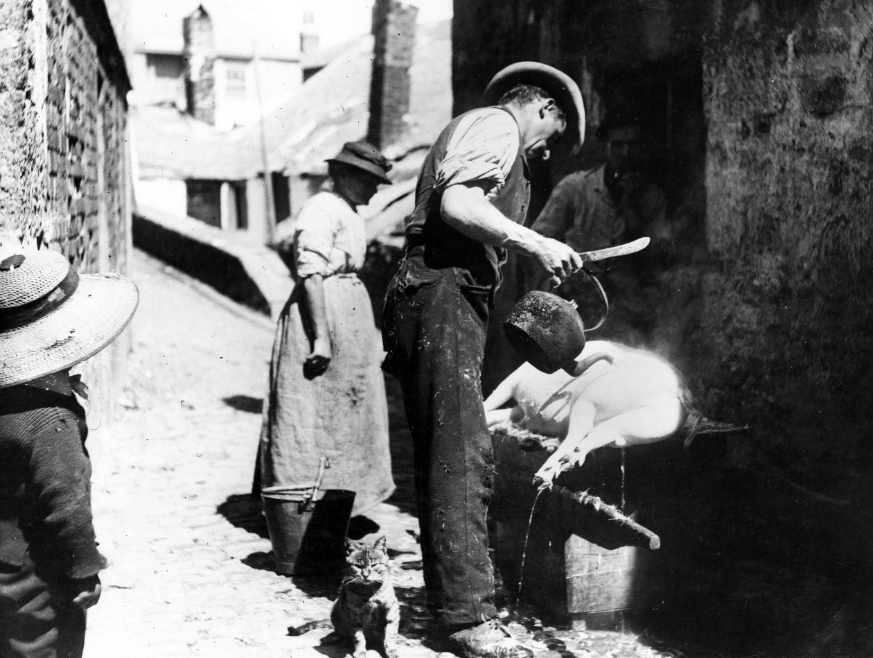 William Stevens Scalding the Pig near Norway Lane, St Ives, c.1880-99 od English Photographer