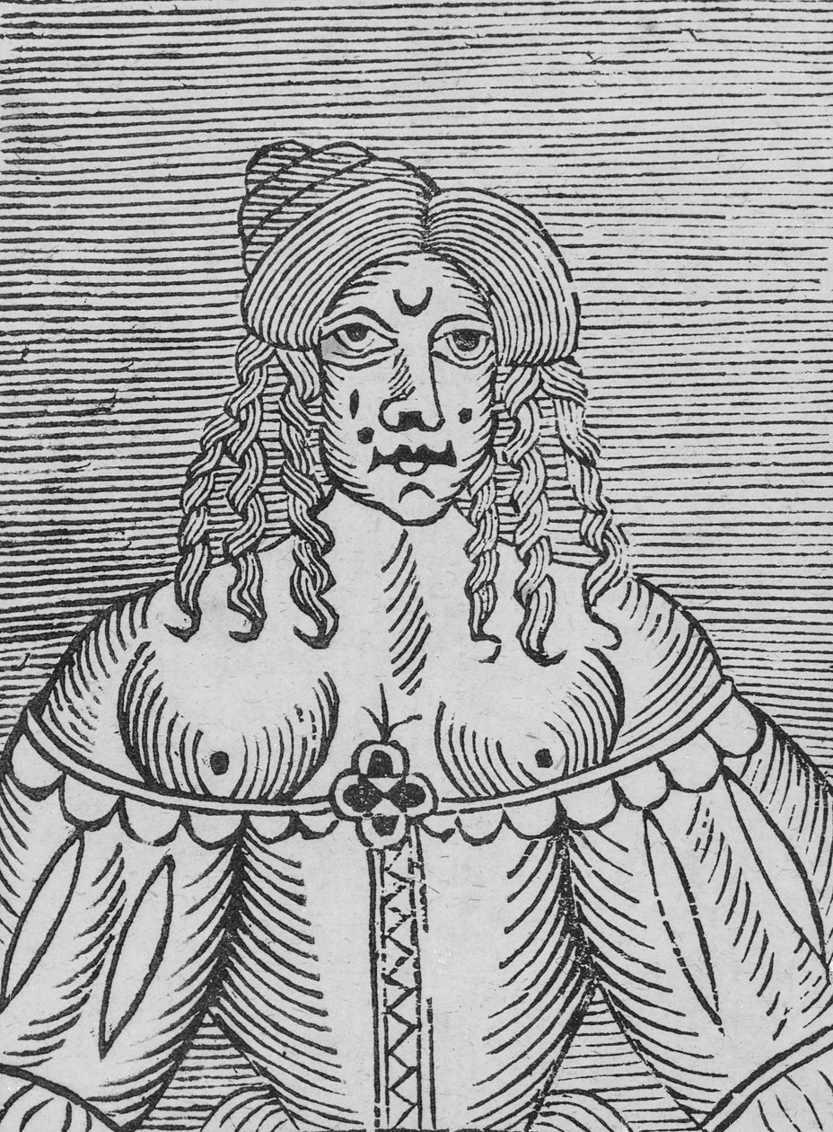 Tudorovská dáma s odhalenými ňadry, ilustrace z 