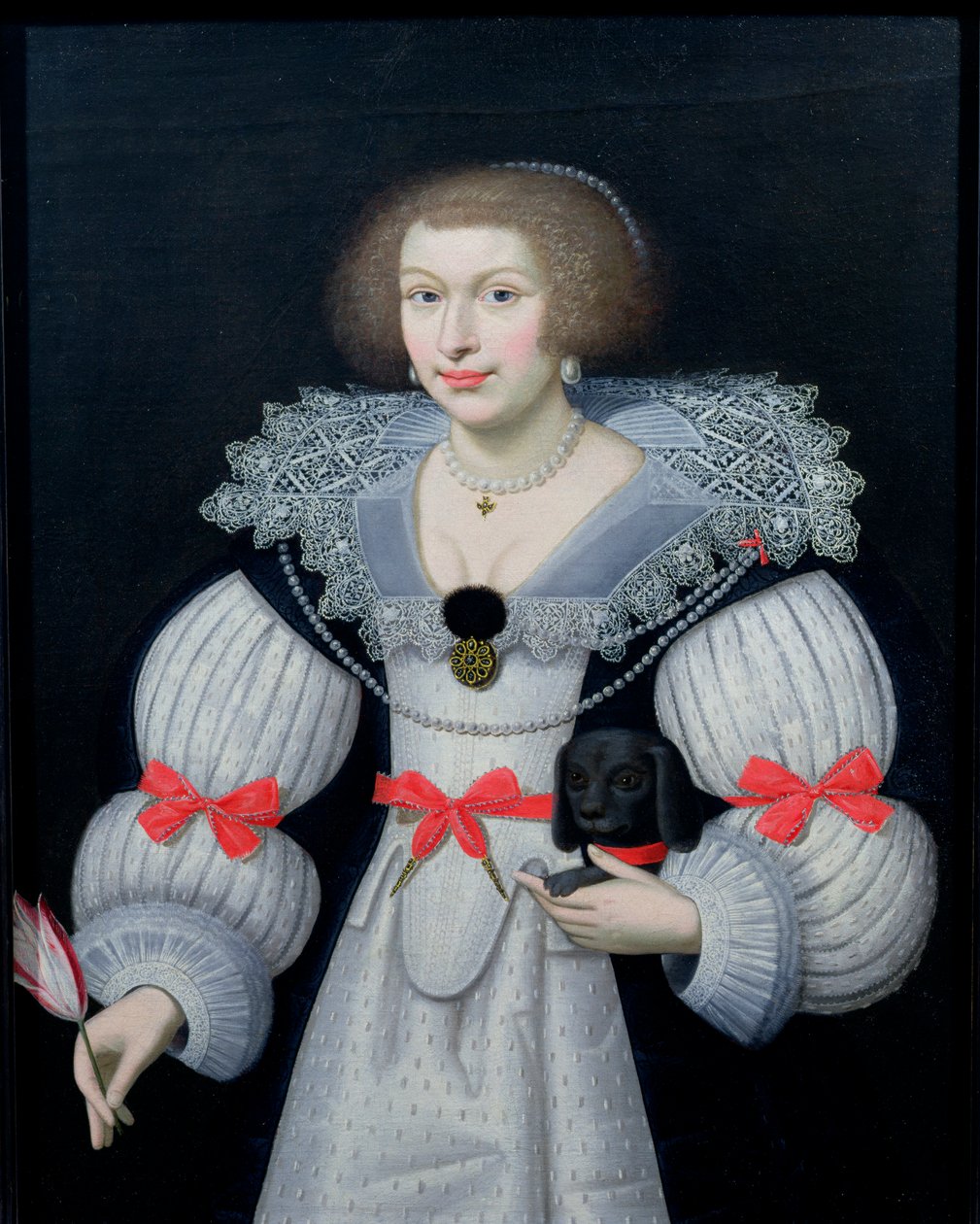 Portrét dámy držící psa a tulipán, cca 1620 od English School