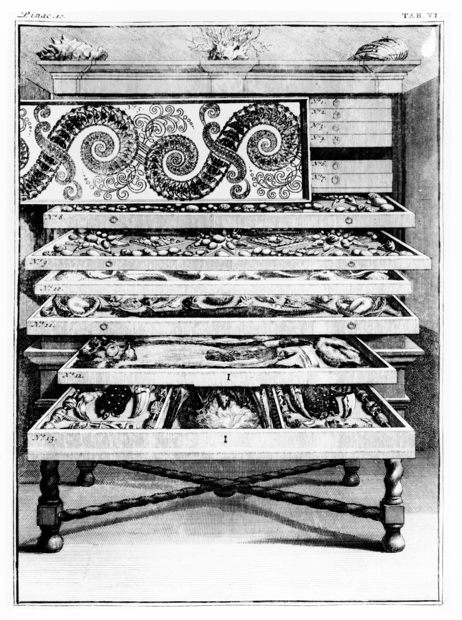 Tabulka 6 z „Elenchus Tabularum“ od Levina Vincenta (1658-1727) 1719 od English School